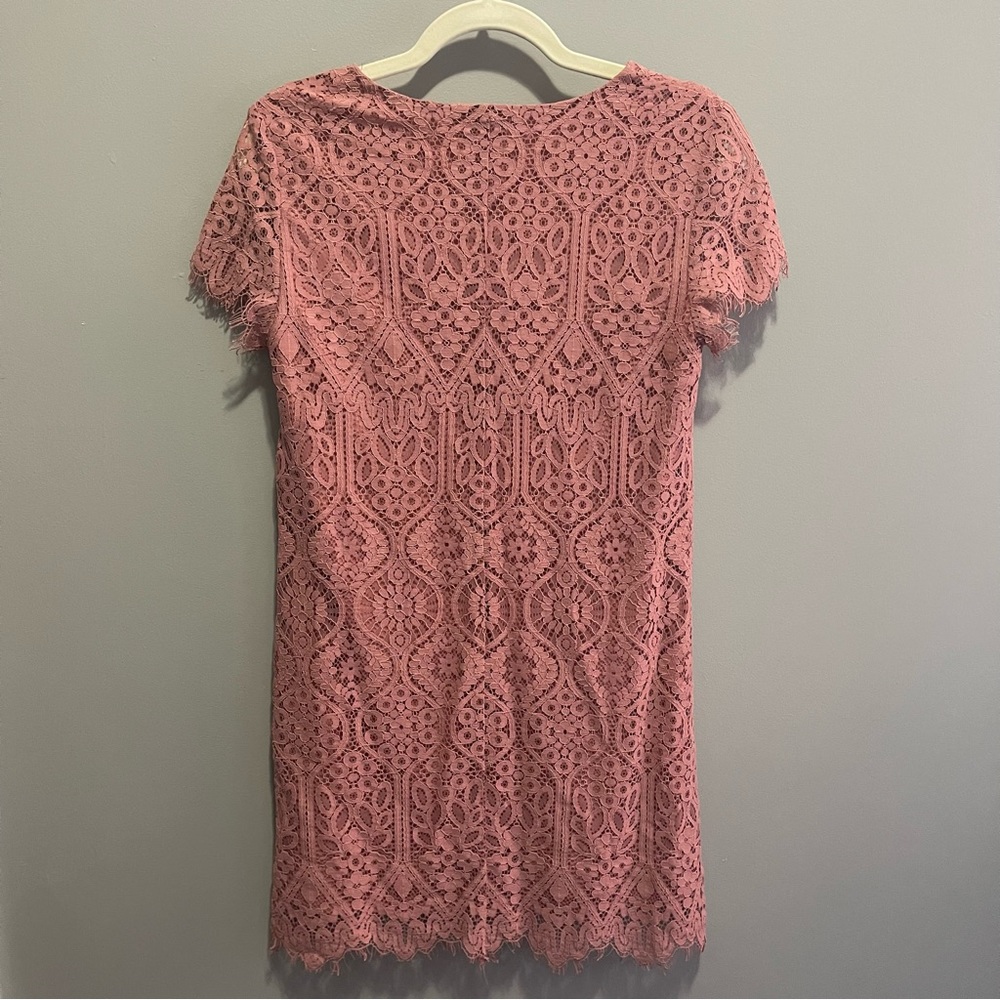 Francesca’s Lace Pink Dress - Picture 4 of 10